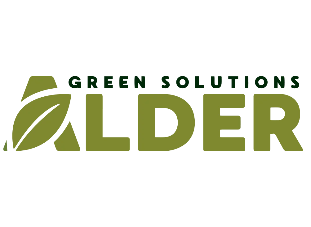 alder